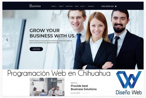 Programación Web en Chihuahua Programación Web en Chihuahua Programación Web en Chihuahua Programacion 1 1