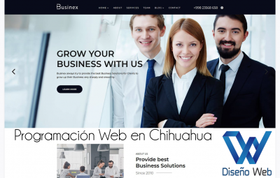 Programación Web en Chihuahua