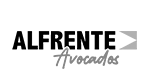 Logotipo de proyecto del portafolio